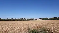 Ржаные поля в Химмасте