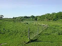 Koppel am westlichen Ortseingang