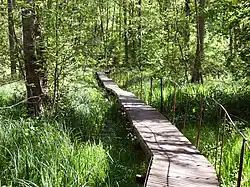 Урочище Хованщина