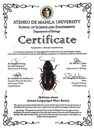 Сертификат с подтверждением этимологии вида H. ateneo