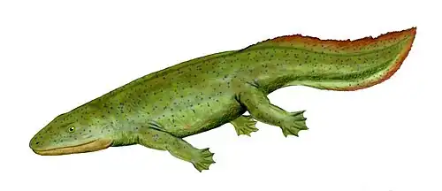 Хайнерпетон