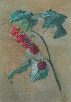 Малина, рисунок, 1901.