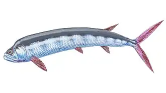 Реконструкция Ichthyodectes ctenodon