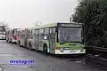 Ikarus 417 в Шальготарьяне