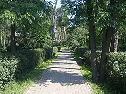 На территории парка