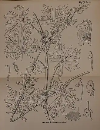 Нет доступного изображения