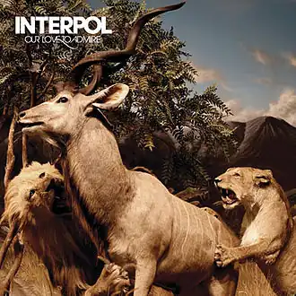 Обложка альбома Interpol «Our Love to Admire» (2007)