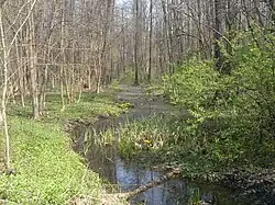 Река в 2011 году возле автодороги Р-10