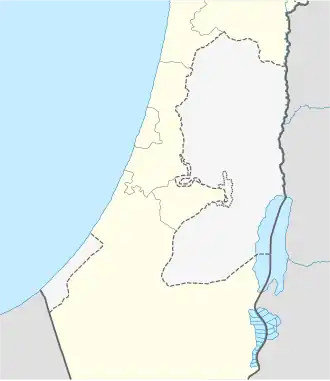 11 точек (Израиль)