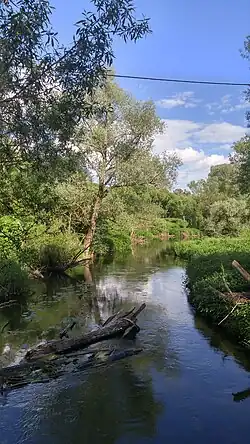 Истья в деревне Киселёво