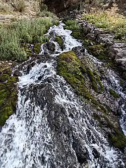 Источник Холтан Чашма