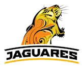 Эмблема в сезонах 2016—2018