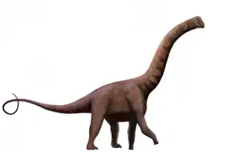 Реконструкция Jainosaurus