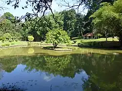 Озеро в ботаническом саду