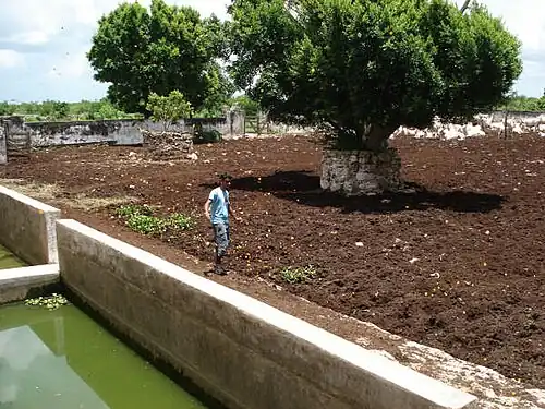 Ранчо Покчейна