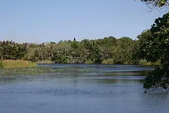 Коси-Бей в августе 2006 года.