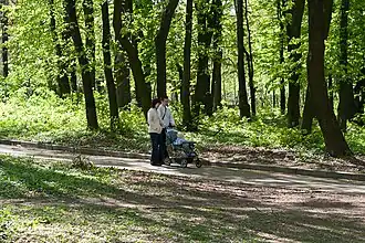 Уютные тропинки.