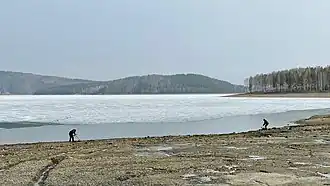 Поисковики с металлоискателями на городском пляже