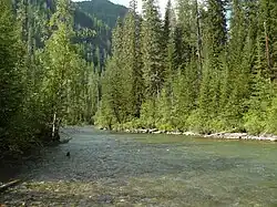 Верхнее течение