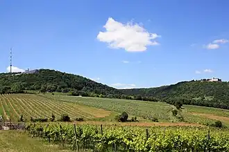 Вид на горы Каленберг и Леопольдсберг, а также университет MODUL, Каленбергскую телебашню[англ.] и церковь Леопольдсберга[нем.]