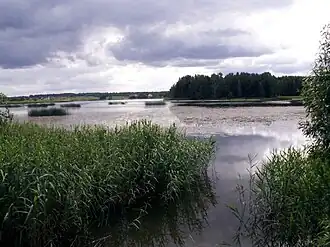 Вид на озеро Кайрю (весна 2008 года)