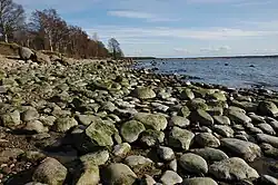 На побережье залива Какумяэ