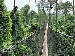 Так выглядит висячая дорога