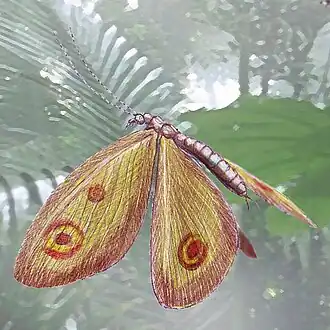 Реконструкция позднеюрского сетчатокрылого насекомого из рода Kalligramma с глазчатыми пятнами на крыльях