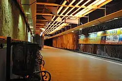 Железнодорожная станция Караджорджев Парк