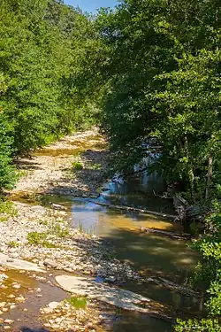 Низовья реки Кавярзе, в 400 м от устья