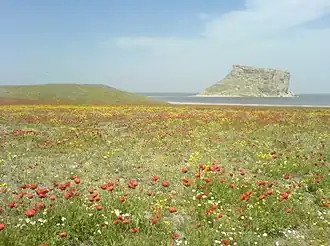 Остров Казем Даши