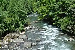 Кинтриши у села Кобалаури