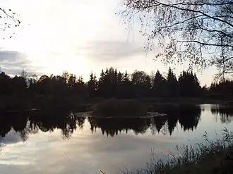 Вид на озеро осенью 2007 года