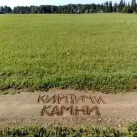 Обложка альбома Кирпичи «Камни» (2008)