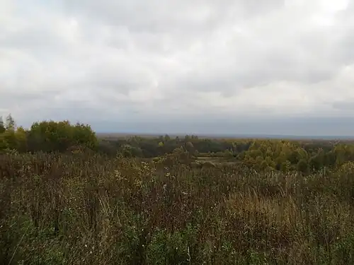 Урочище Киурумяки. Вид на юго-запад. 2014 год