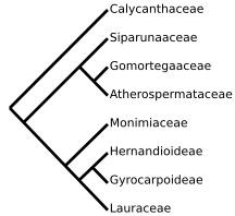 Схематичная иллюстрация