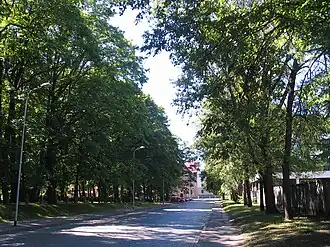 Вид в сторону улицы Клуса