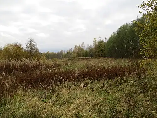 Урочище Конколово