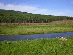 Кова в районе устья