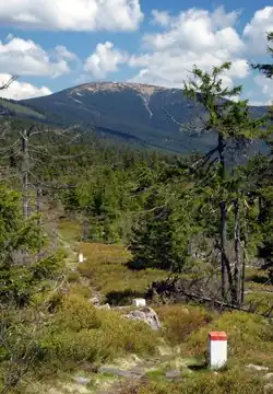Кралицки-Снежник весной, вид с юга.