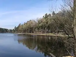 Дачный комплекс на берегу озера