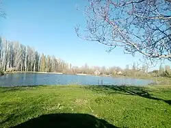 Пруд  у истоков реки в с. Кринички