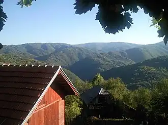 Вид на долину Власины