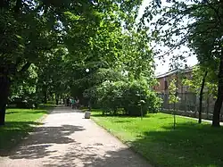 Пешеходная аллея парка