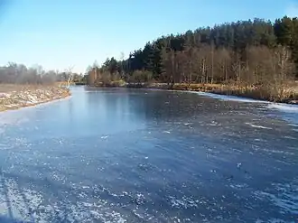 Куровское озеро (старица Клязьмы).