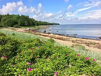 Берег моря в деревне Тситре