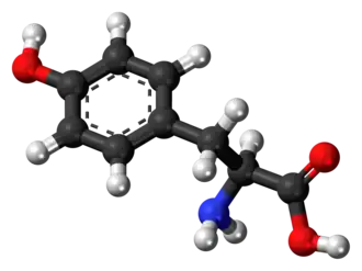 Изображение молекулярной модели