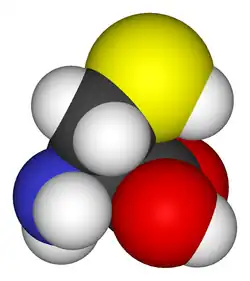 Изображение молекулярной модели
