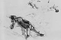 Раздетые тела румынских евреев, брошенные в снегу в Жилаве, на берегу реки Сабар