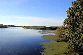 Низовье Деймы около Полесска летом 2016 года